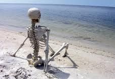 Image result for esqueleto en playa