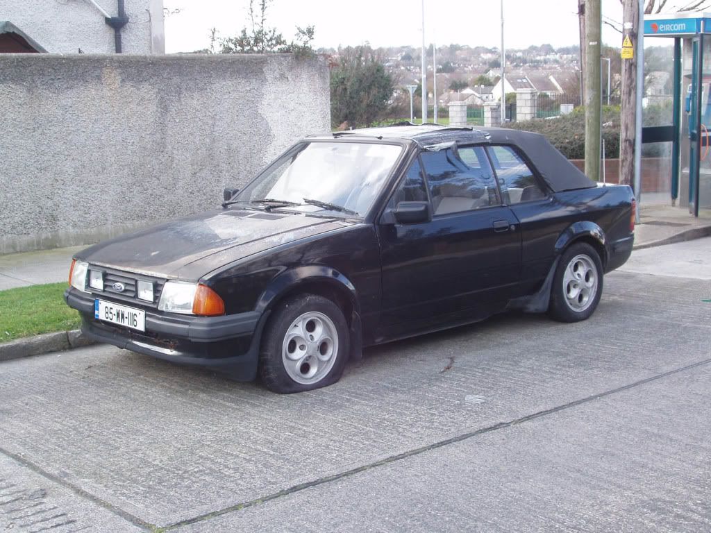 escort-1.jpg