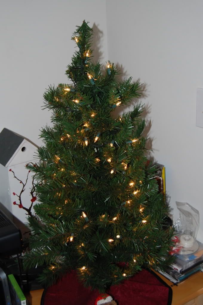 Small Christmas tree with lights!