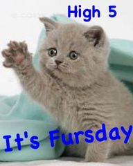 ee867ad44b4c59db5d7306a398b23eb9Fursday_zps64673d6d.jpg