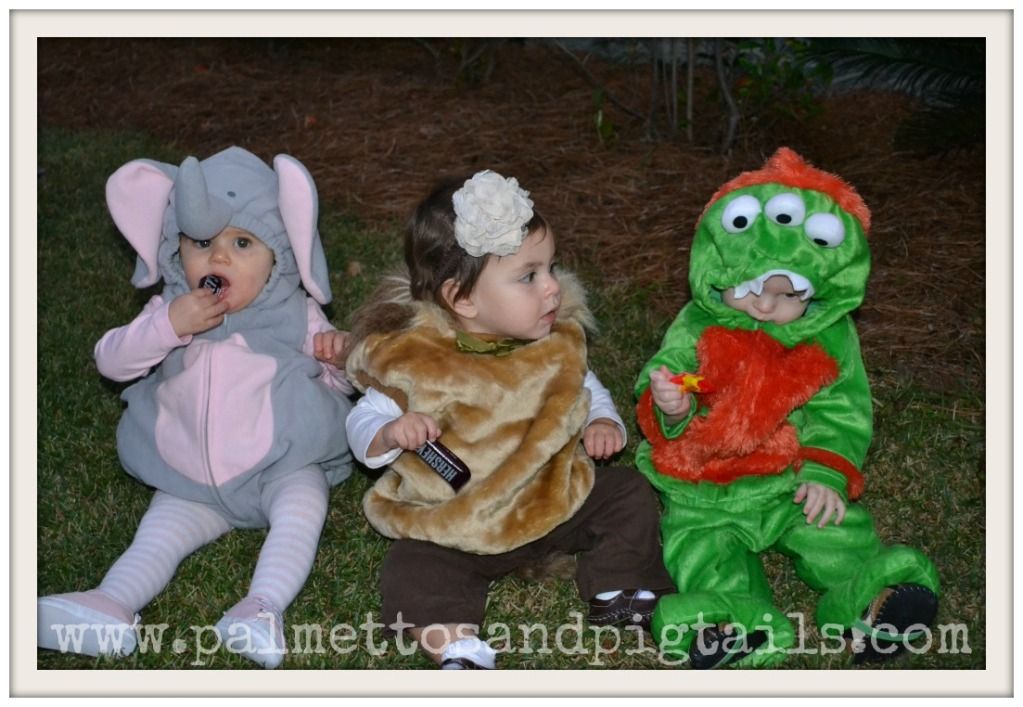 Halloween Babies