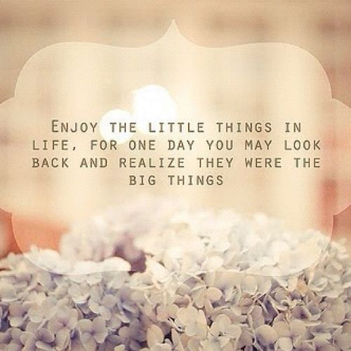 enjoy-the-little-things-in-life-picture-quotes