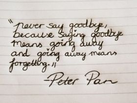 Goodbye Quotes & Sayings