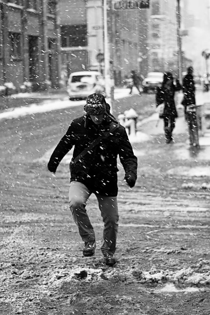 IMAGE: http://i1112.photobucket.com/albums/k489/dryan306/NYC%20Winter%202010-11/snow88.jpg