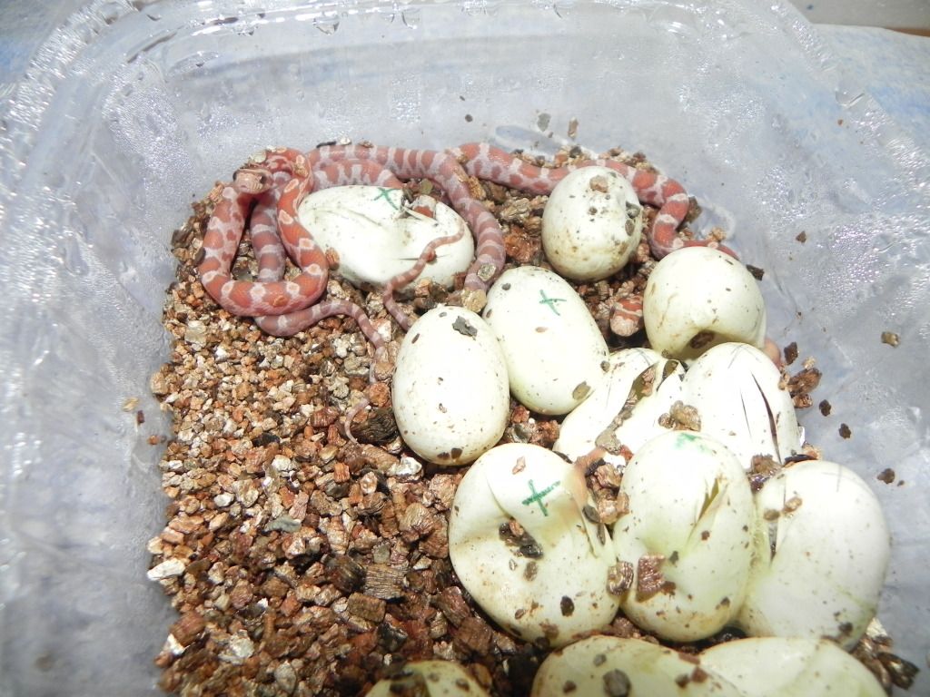 DSCN2677.jpg