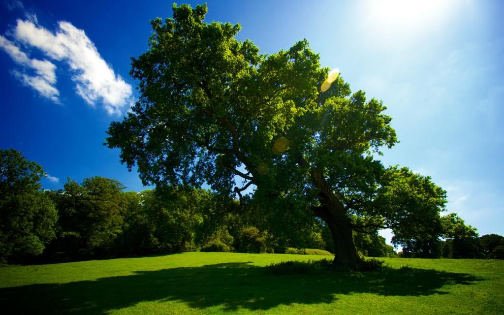 naturaleza naturaleza