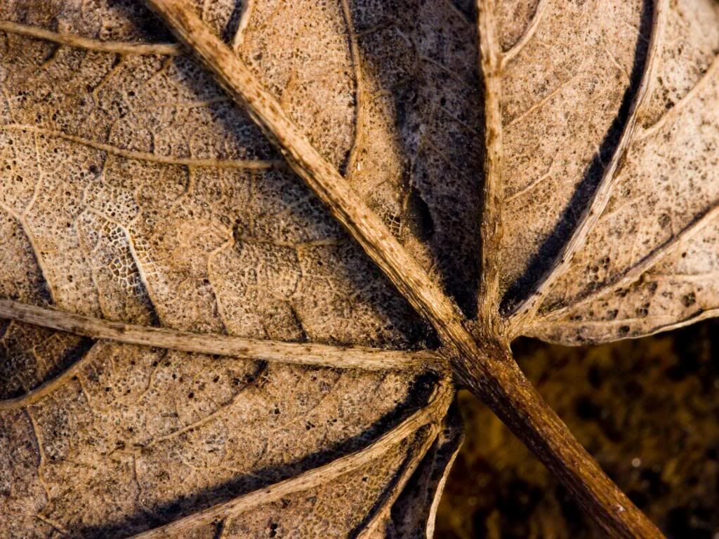 naturaleza naturaleza