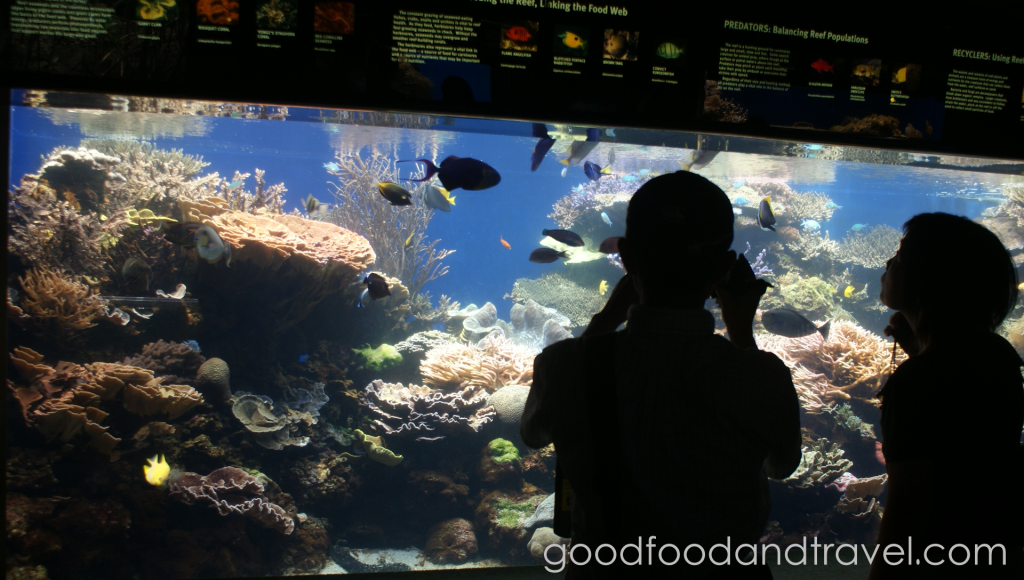 Waikiki Aquarium