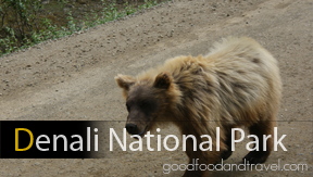Denali National Park