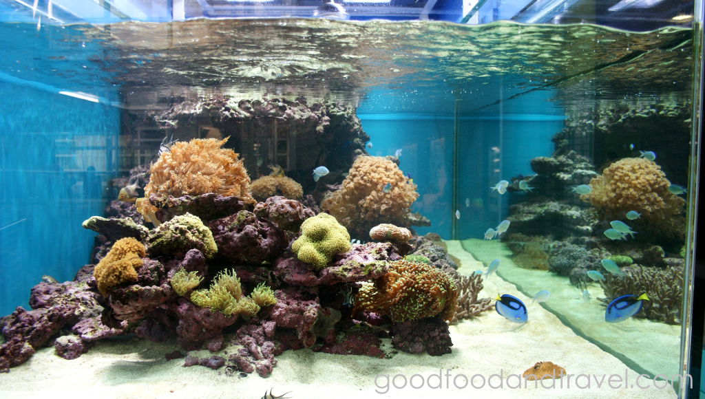 Marine Tank