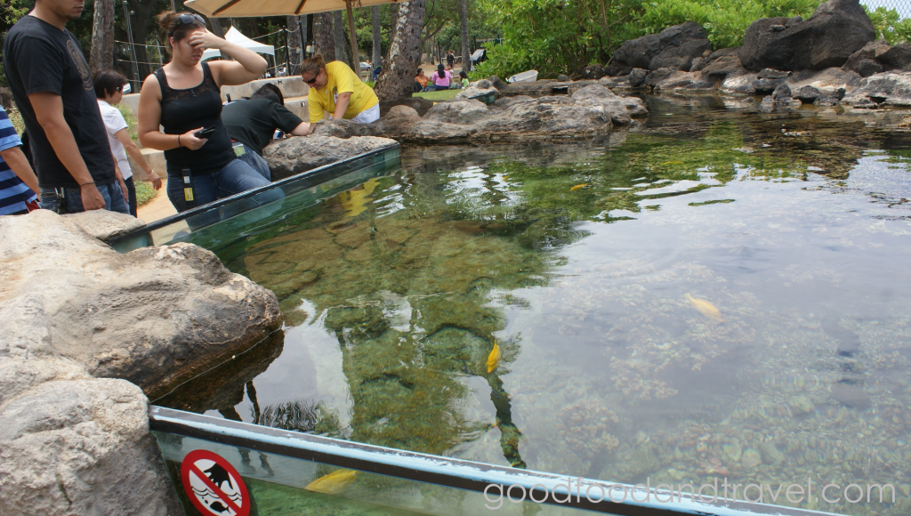 Outdoor Tank