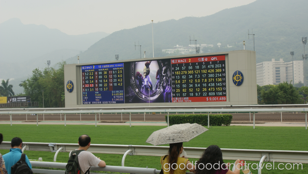 Horse Racing Odds