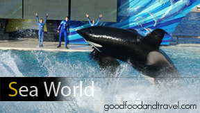 Sea World