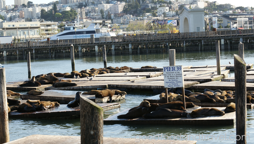 Seals