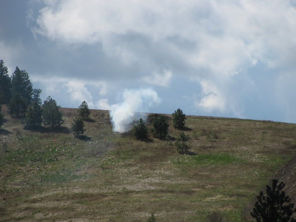 IMG_1453.jpg