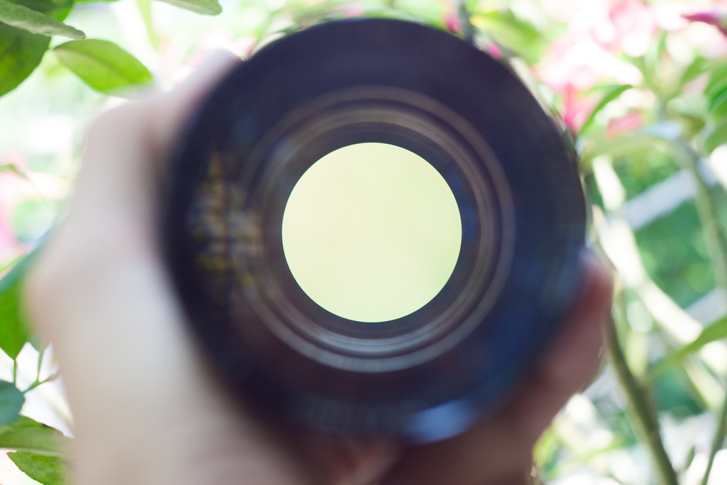 Dọn tủ cho bớt chật, bán 1 số lens - 4