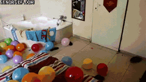 Dog goes crazy with balloons - AnimalsBeingDicks.com