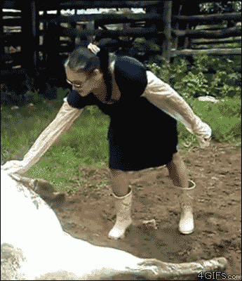 Woman gets kicked in the face by a cow - AnimalsBeingDicks.com