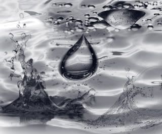 water320.jpg