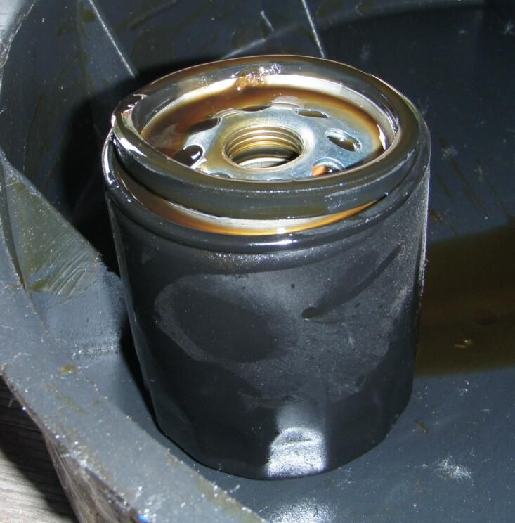 Blown oil filter gasket Harley Davidson Forums Harley Davidson