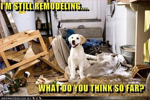 photo RemodelingDog_zpsb11a7721.jpg