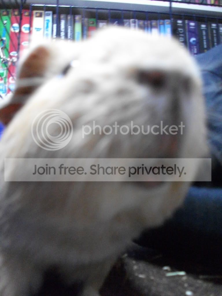 DSCF1509.jpg