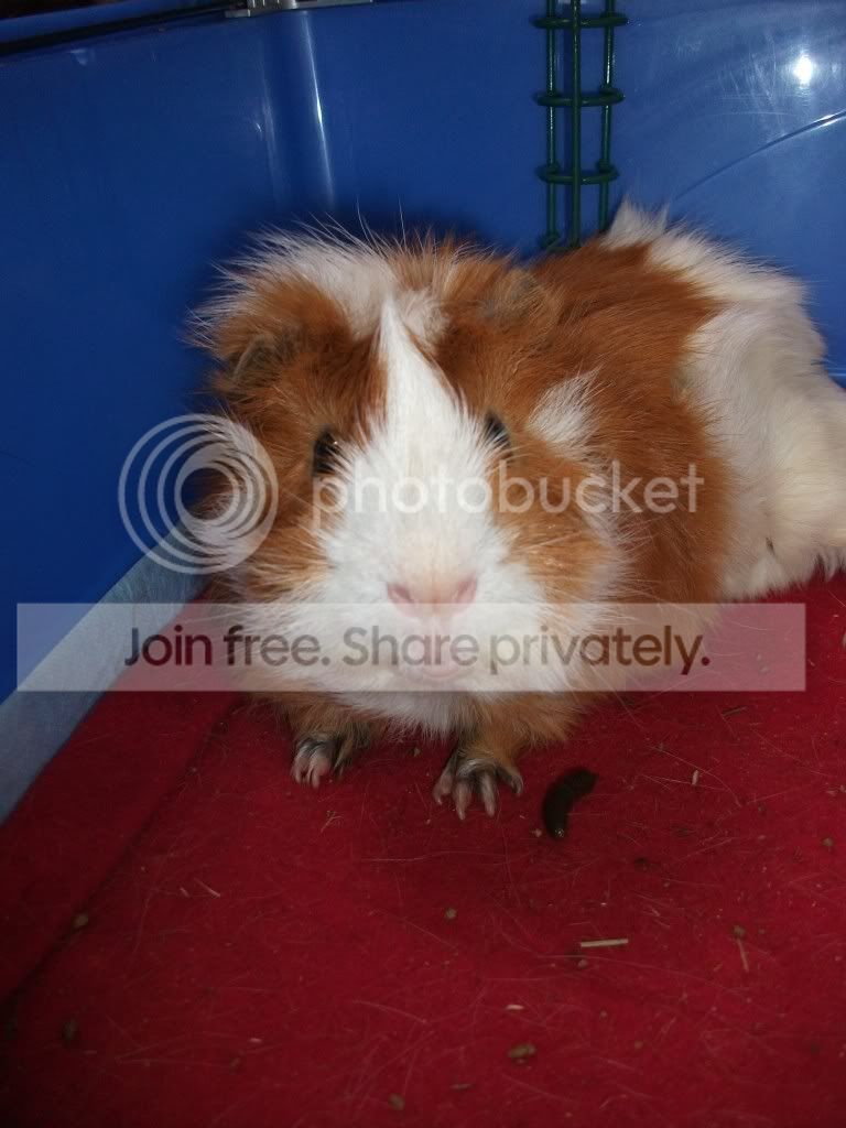 DSCF1530.jpg