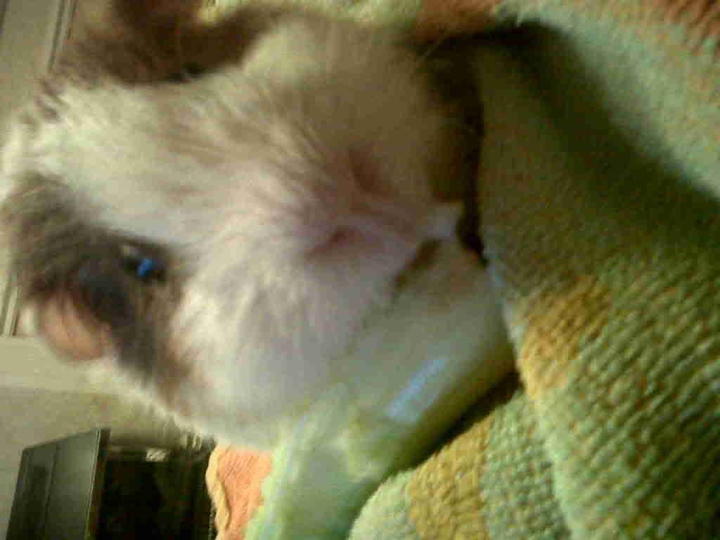 IMG02134-20120824-1956.jpg