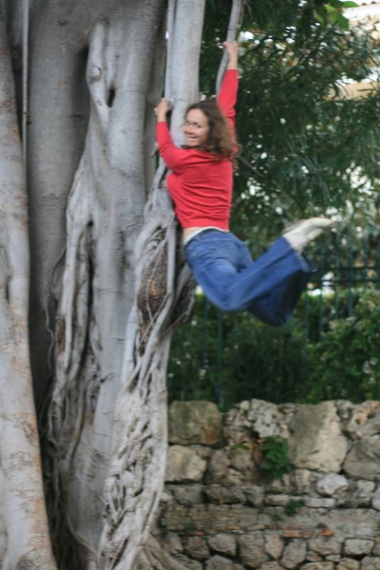 photo IMG_6530_zpsiwrrswys.jpg