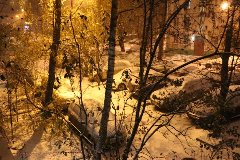 photo IMG_0184_zpszjrkyupu.jpg