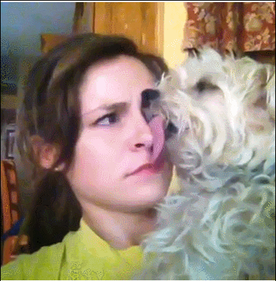 Dog has tongue out on girls face - AnimalsBeingDicks.com
