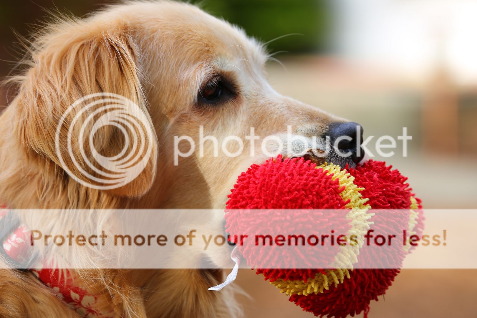 Photobucket - Video and Image Hosting